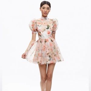 Alice + Olivia Dress
